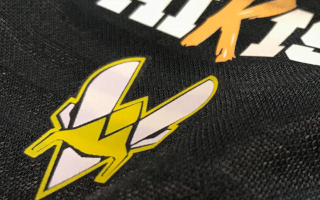 Team Vitality's official jersey.